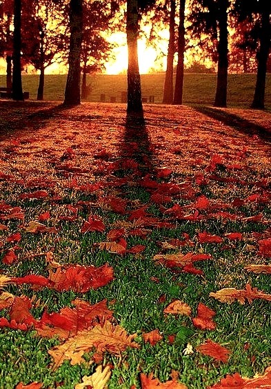 Autumn Sunrise, Germany