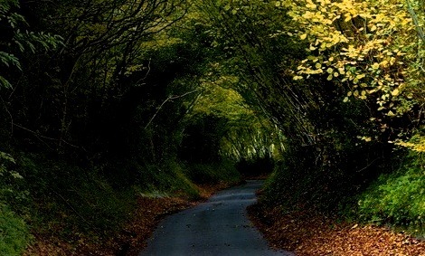 Hobbit Highway, Chiltern, England