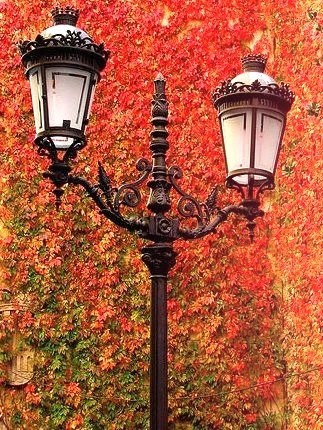 Autumn Lanterns, Devonshire, England 