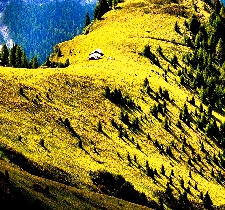 Mountain Meadow, Val di Fassa, Italy