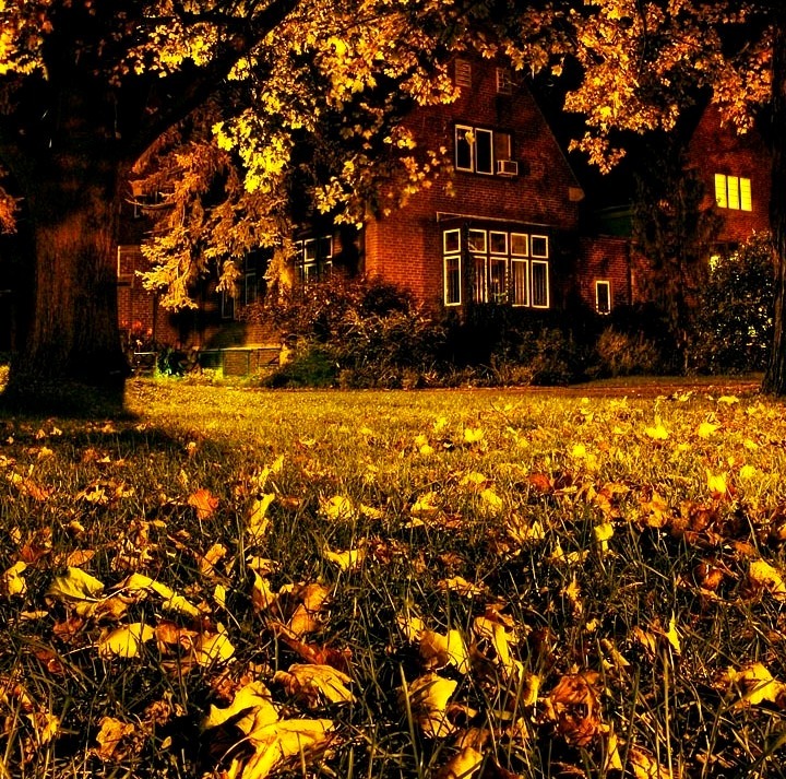 Autumn, Faculty Club, Cambridge, Massachusettes