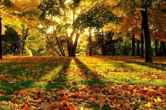 Autumn, Greenfield Park, Milwaukee, Wisconsin