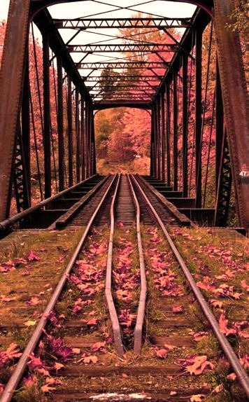 Autumn Railroad Bridge, Vermont
