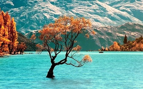 Lake Wanaka, New Zealand 