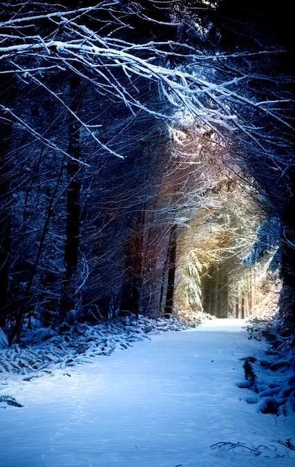 Snow Path, Washington